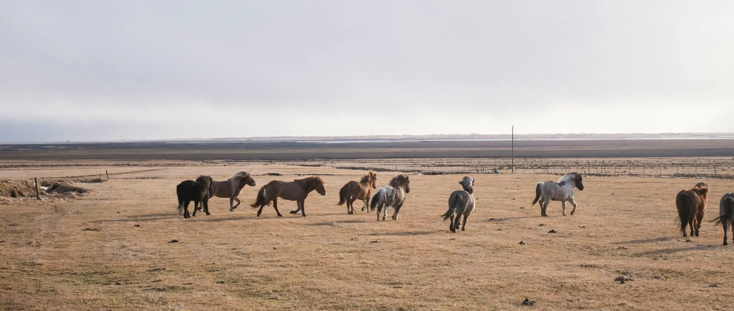 Financing an Equestrian Ranch or Property in Texas