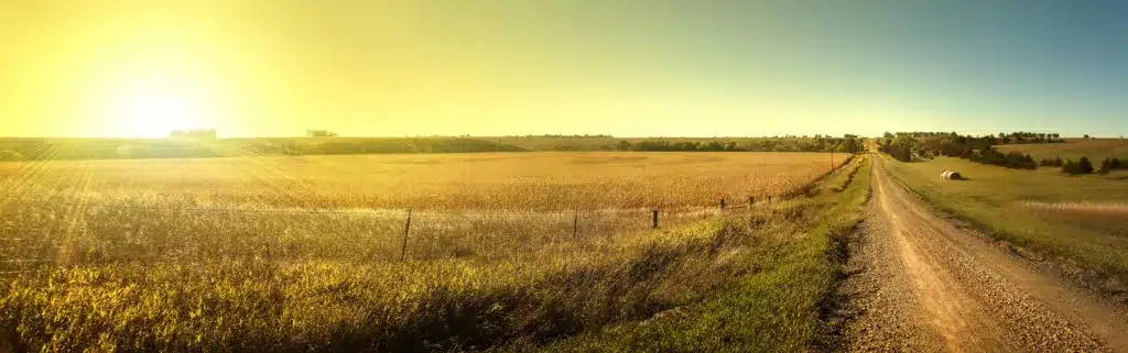 USDA-HOME-LOANS-WITH-DALLAS-TOP-MORTGAGE-LENDER